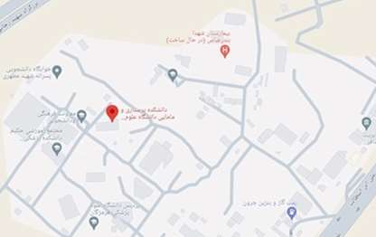 google map image